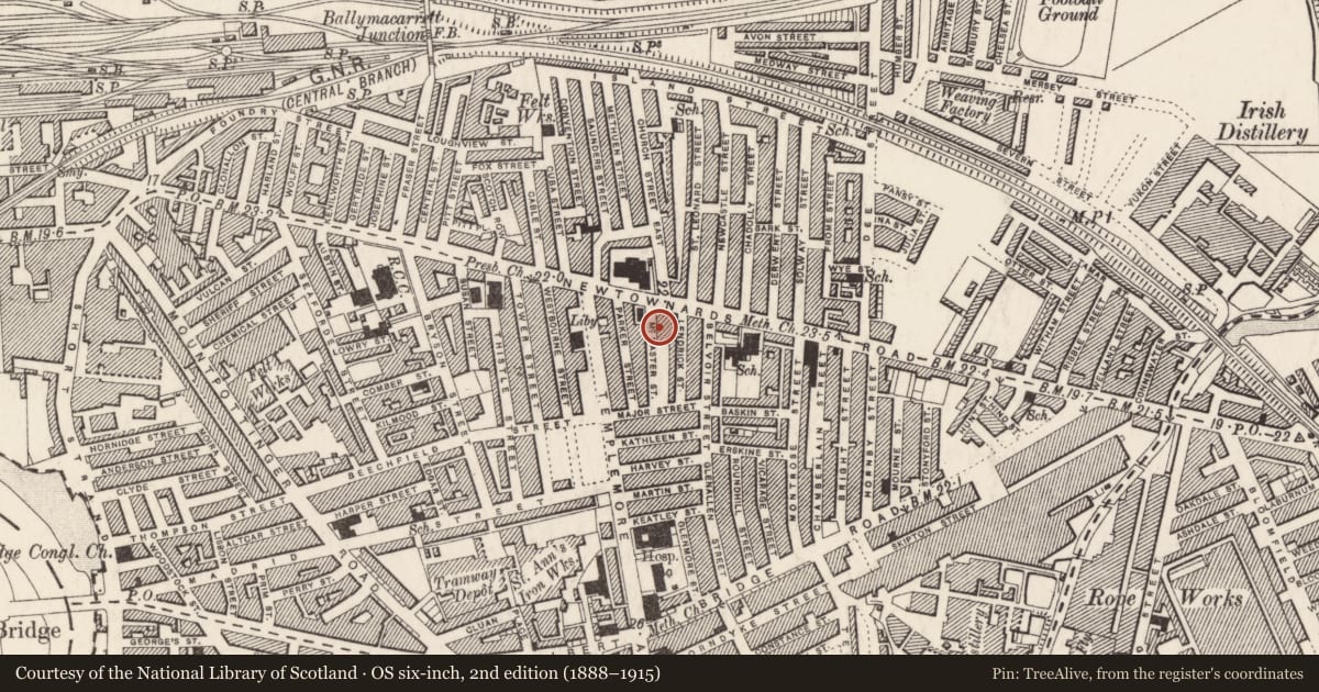 Ordnance Survey six-inch map, 2nd edition (1888–1915) covering the location of 12 McMaster Street, Ballymacarrett, Belfast, with a pin at the register's coordinates