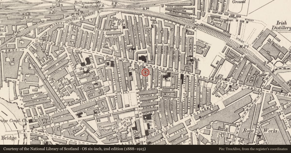 Ordnance Survey six-inch map, 2nd edition (1888–1915) covering the location of 13 McMaster Street, Ballymacarrett, Belfast, with a pin at the register's coordinates