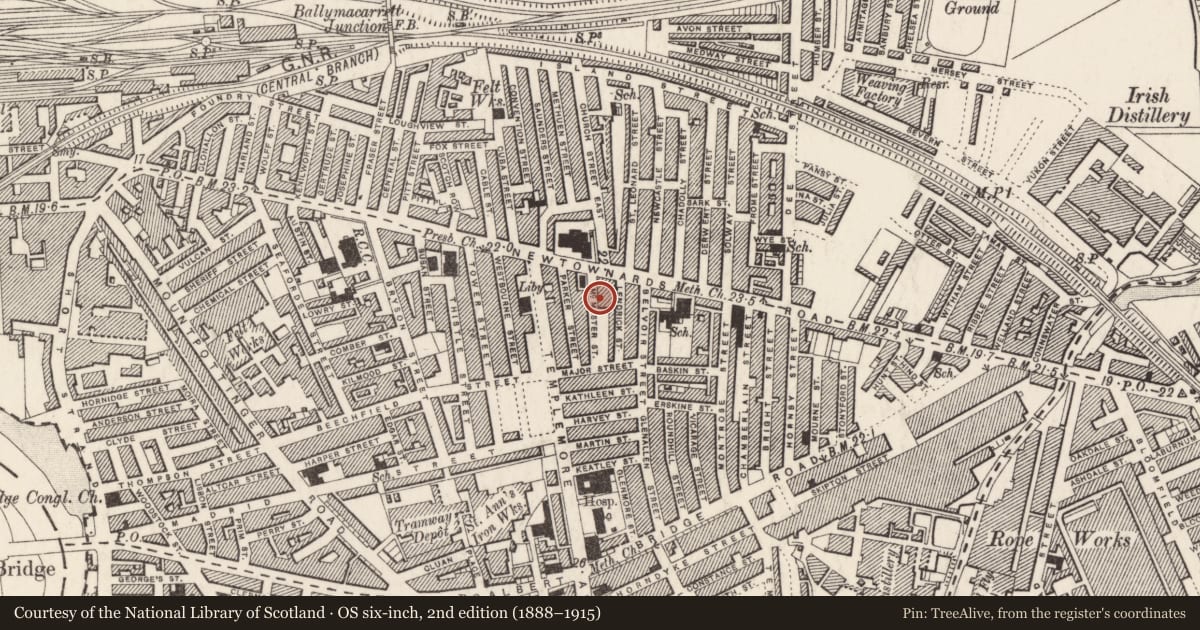 Ordnance Survey six-inch map, 2nd edition (1888–1915) covering the location of 16 McMaster Street, Ballymacarrett, Belfast, with a pin at the register's coordinates