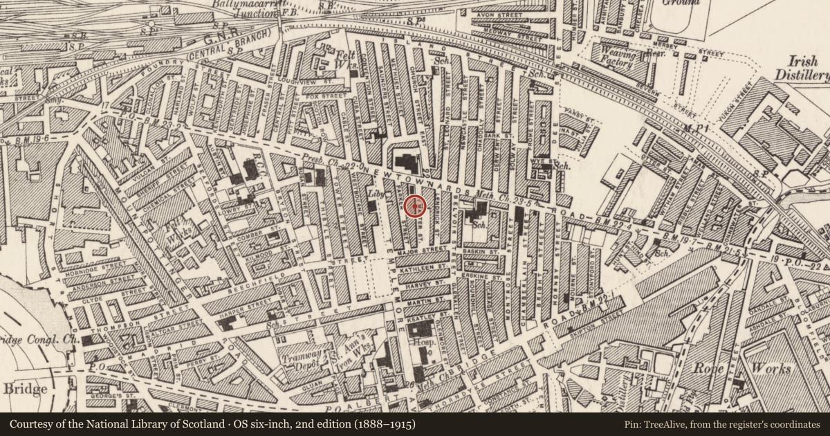 Ordnance Survey six-inch map, 2nd edition (1888–1915) covering the location of 17 McMaster Street, Ballymacarrett, Belfast, with a pin at the register's coordinates
