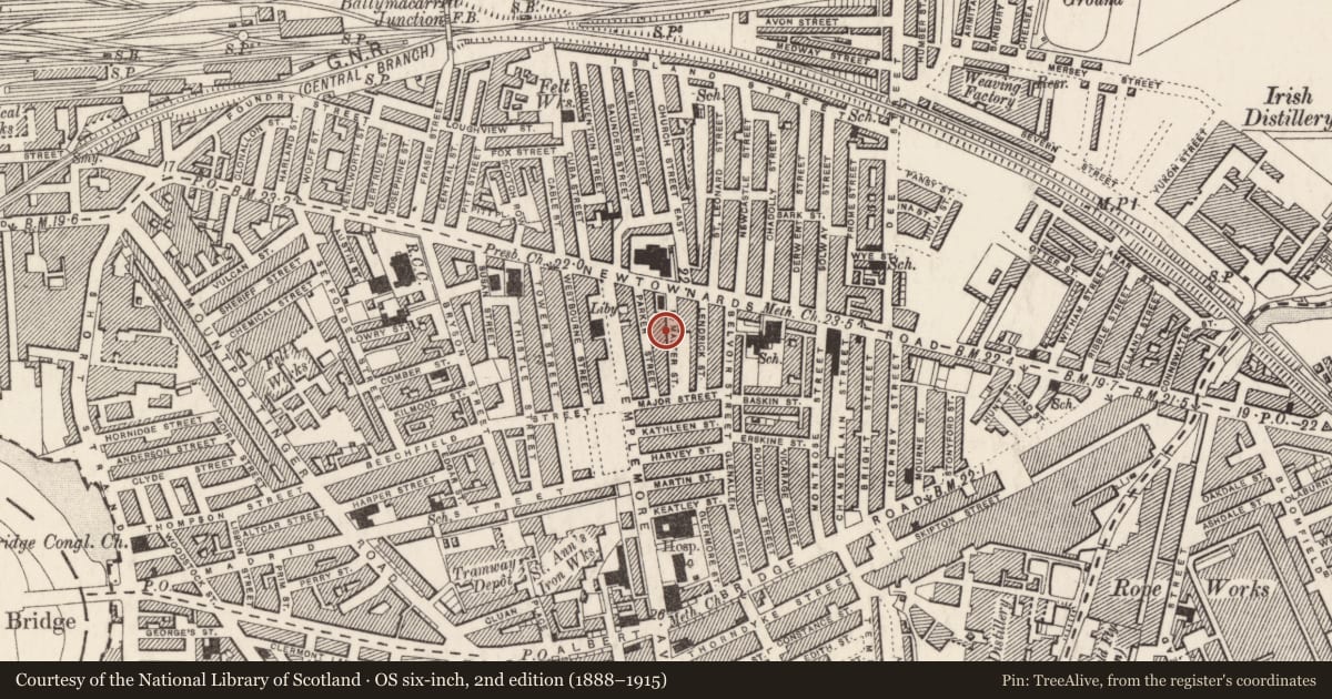 Ordnance Survey six-inch map, 2nd edition (1888–1915) covering the location of 19 McMaster Street, Ballymacarrett, Belfast, with a pin at the register's coordinates