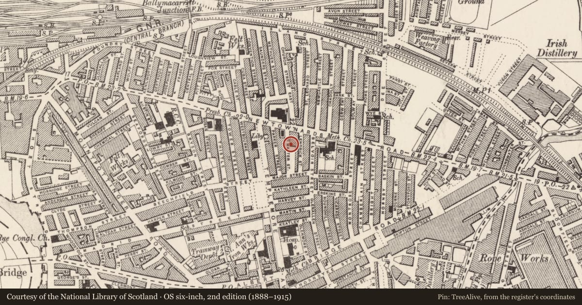 Ordnance Survey six-inch map, 2nd edition (1888–1915) covering the location of 20 McMaster Street, Ballymacarrett, Belfast, with a pin at the register's coordinates