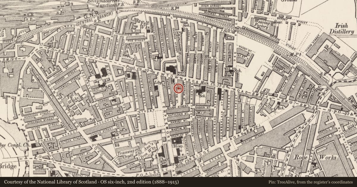 Ordnance Survey six-inch map, 2nd edition (1888–1915) covering the location of 22 McMaster Street, Ballymacarrett, Belfast, with a pin at the register's coordinates