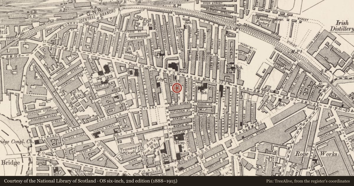 Ordnance Survey six-inch map, 2nd edition (1888–1915) covering the location of 25 McMaster Street, Ballymacarrett, Belfast, with a pin at the register's coordinates