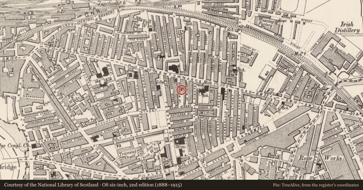Ordnance Survey six-inch map, 2nd edition (1888–1915) covering the location of 26 McMaster Street, Ballymacarrett, Belfast, with a pin at the register's coordinates