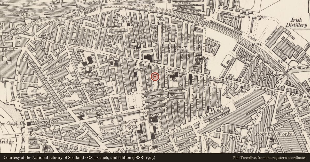 Ordnance Survey six-inch map, 2nd edition (1888–1915) covering the location of 28 McMaster Street, Ballymacarrett, Belfast, with a pin at the register's coordinates