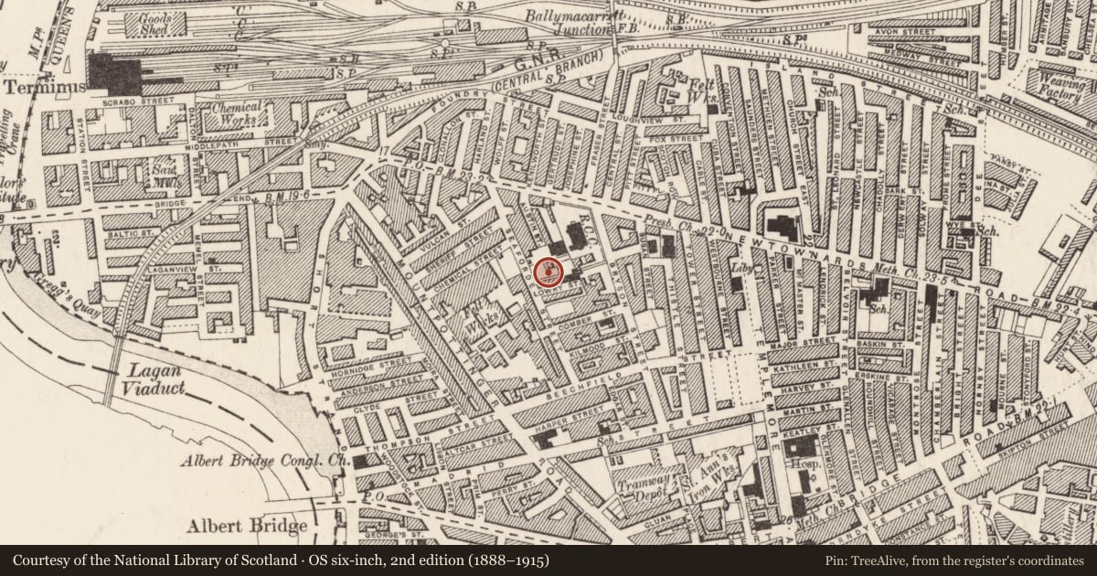 Ordnance Survey six-inch map, 2nd edition (1888–1915) covering the location of St Matthews School, Belfast, with a pin at the register's coordinates