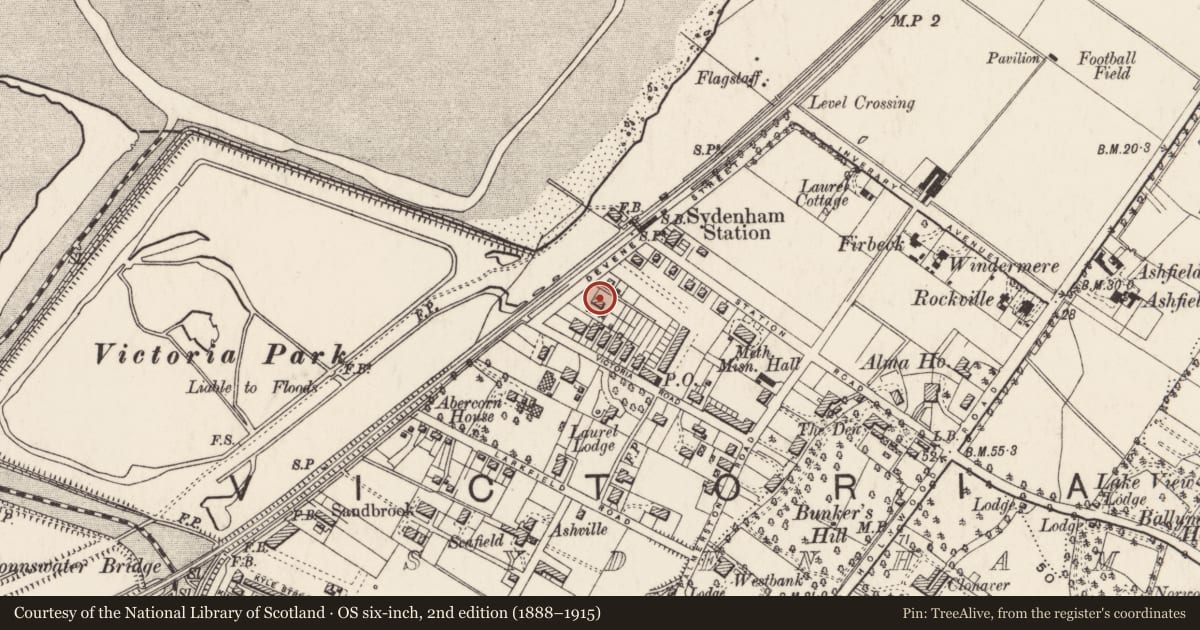Ordnance Survey six-inch map, 2nd edition (1888–1915) covering the location of 5 Inverary Drive, Belfast, with a pin at the register's coordinates