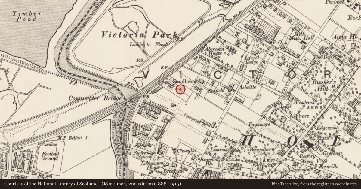 Ordnance Survey six-inch map, 2nd edition (1888–1915) covering the location of Sydenham Primary School, Strandtown, Belfast, with a pin at the register's coordinates