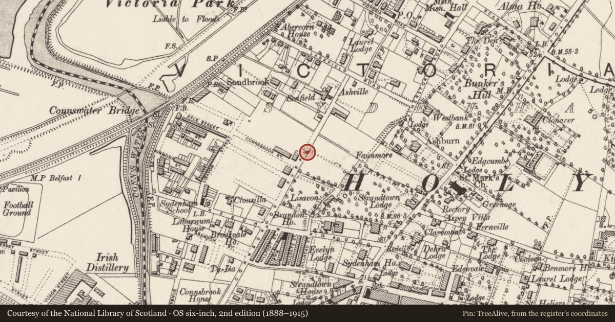 Ordnance Survey six-inch map, 2nd edition (1888–1915) covering the location of Pillar box, Strandtown, Belfast, with a pin at the register's coordinates