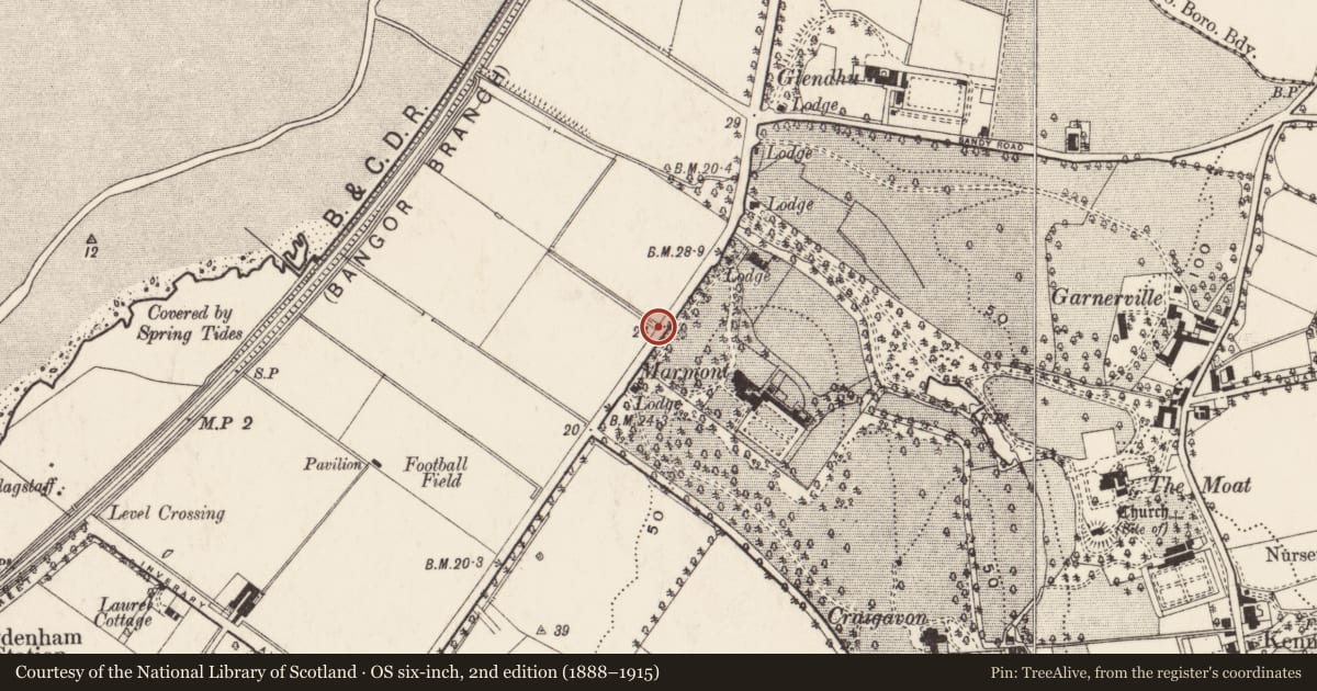 Ordnance Survey six-inch map, 2nd edition (1888–1915) covering the location of Electrical Service/section pillar (near Blanchflowe Park) Holywood Road, Belfast BT4 1SJ, Ballymaghan, Belfast, with a pin at the register's coordinates