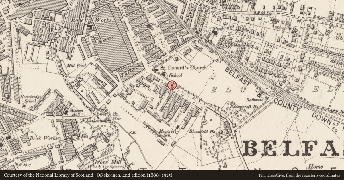Ordnance Survey six-inch map, 2nd edition (1888–1915) covering the location of 29 Bloomfield Road, Ballyhackamore, Belfast, with a pin at the register's coordinates