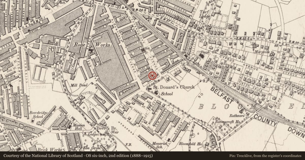 Ordnance Survey six-inch map, 2nd edition (1888–1915) covering the location of 368 Beersbridge Road, Ballyhackamore, Belfast, with a pin at the register's coordinates
