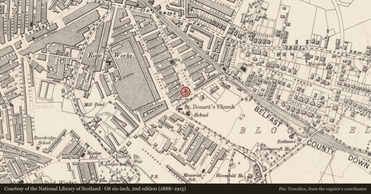 Ordnance Survey six-inch map, 2nd edition (1888–1915) covering the location of 370 Beersbridge Road, Ballyhackamore, Belfast, with a pin at the register's coordinates