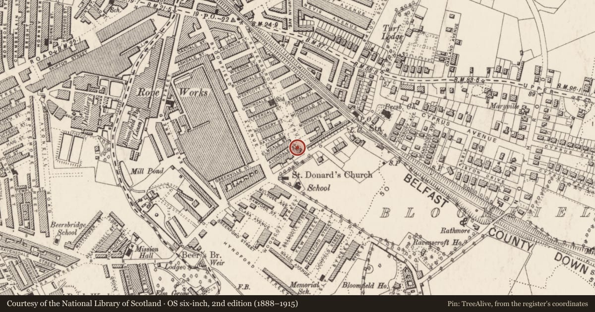 Ordnance Survey six-inch map, 2nd edition (1888–1915) covering the location of 372 Beersbridge Road, BALLYHACKAMORE, Belfast, with a pin at the register's coordinates
