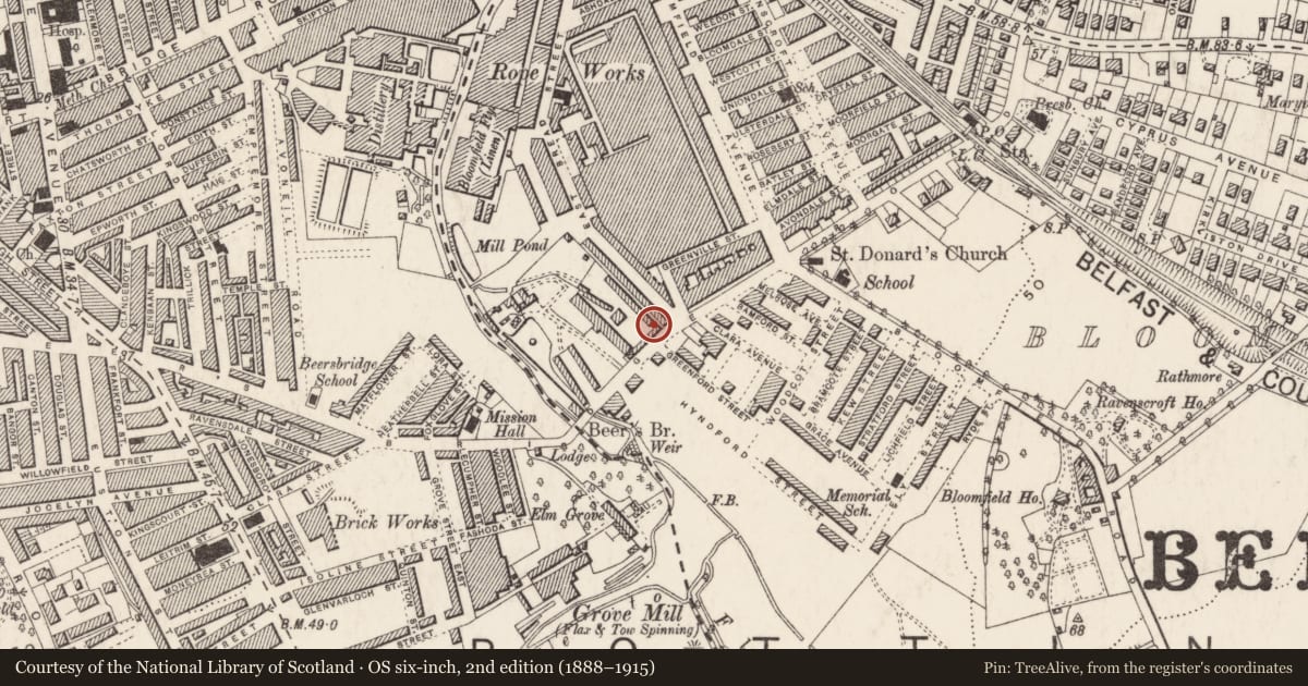 Ordnance Survey six-inch map, 2nd edition (1888–1915) covering the location of Owen O'Cork Mill, Ballyhackamore, Belfast, with a pin at the register's coordinates