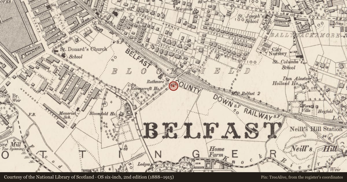Ordnance Survey six-inch map, 2nd edition (1888–1915) covering the location of Orangefield Baptist Church, Ballyhackamore, Belfast, with a pin at the register's coordinates