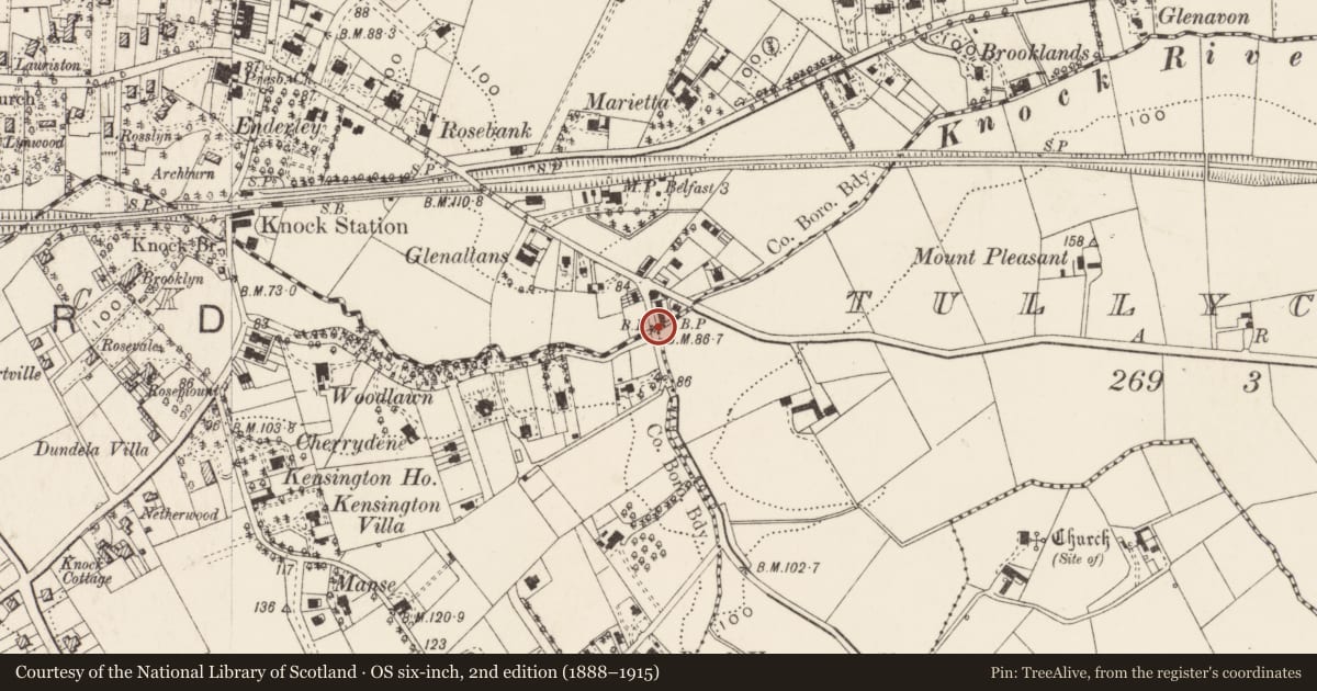Ordnance Survey six-inch map, 2nd edition (1888–1915) covering the location of Parliamentary boundary post, Ballycloghan/Knock/Tullycarnet, Belfast, with a pin at the register's coordinates