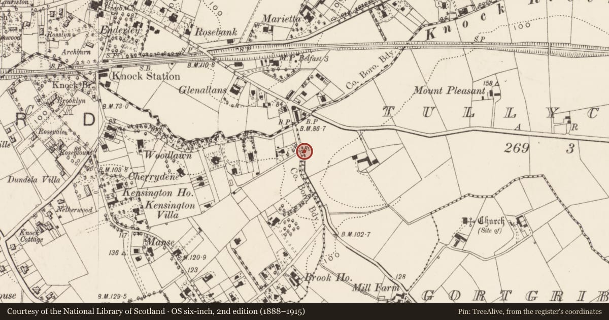 Ordnance Survey six-inch map, 2nd edition (1888–1915) covering the location of Parliamentary boundary post, Knock/Tullycarnet, Belfast, with a pin at the register's coordinates