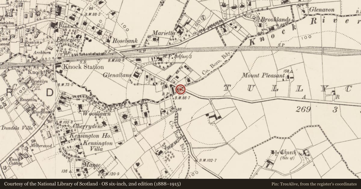 Ordnance Survey six-inch map, 2nd edition (1888–1915) covering the location of Parliamentary boundary post, Ballycloghan/Tullycarnet, Belfast, with a pin at the register's coordinates