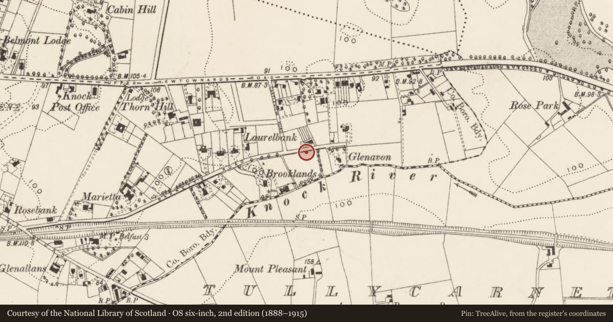 Ordnance Survey six-inch map, 2nd edition (1888–1915) covering the location of Street sign at junction of Knockland and Barnett's Road, Belfast BT5 7BE, Ballycloghan, Belfast, with a pin at the register's coordinates