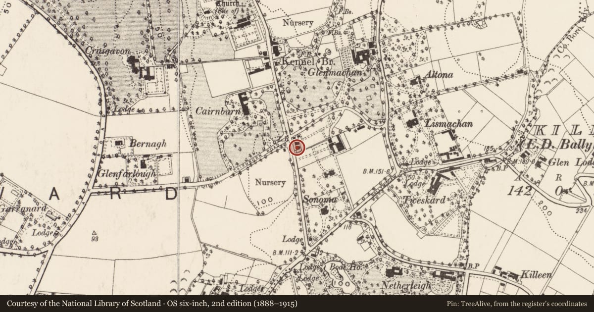 Ordnance Survey six-inch map, 2nd edition (1888–1915) covering the location of 45 Old Holywood Road, Ballymaghan, Belfast, with a pin at the register's coordinates