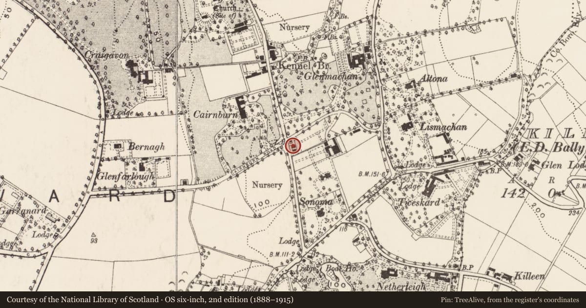 Ordnance Survey six-inch map, 2nd edition (1888–1915) covering the location of 49 Old Holywood Road, Ballymaghan, Belfast, with a pin at the register's coordinates