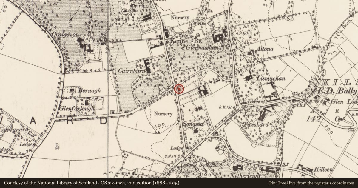 Ordnance Survey six-inch map, 2nd edition (1888–1915) covering the location of 51 Old Holywood Road, Ballymaghan, Belfast, with a pin at the register's coordinates