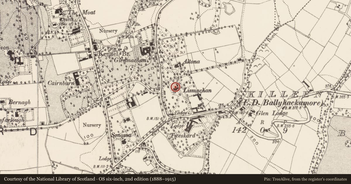 Ordnance Survey six-inch map, 2nd edition (1888–1915) covering the location of Lismachan House, Ballymaghan, Belfast, with a pin at the register's coordinates