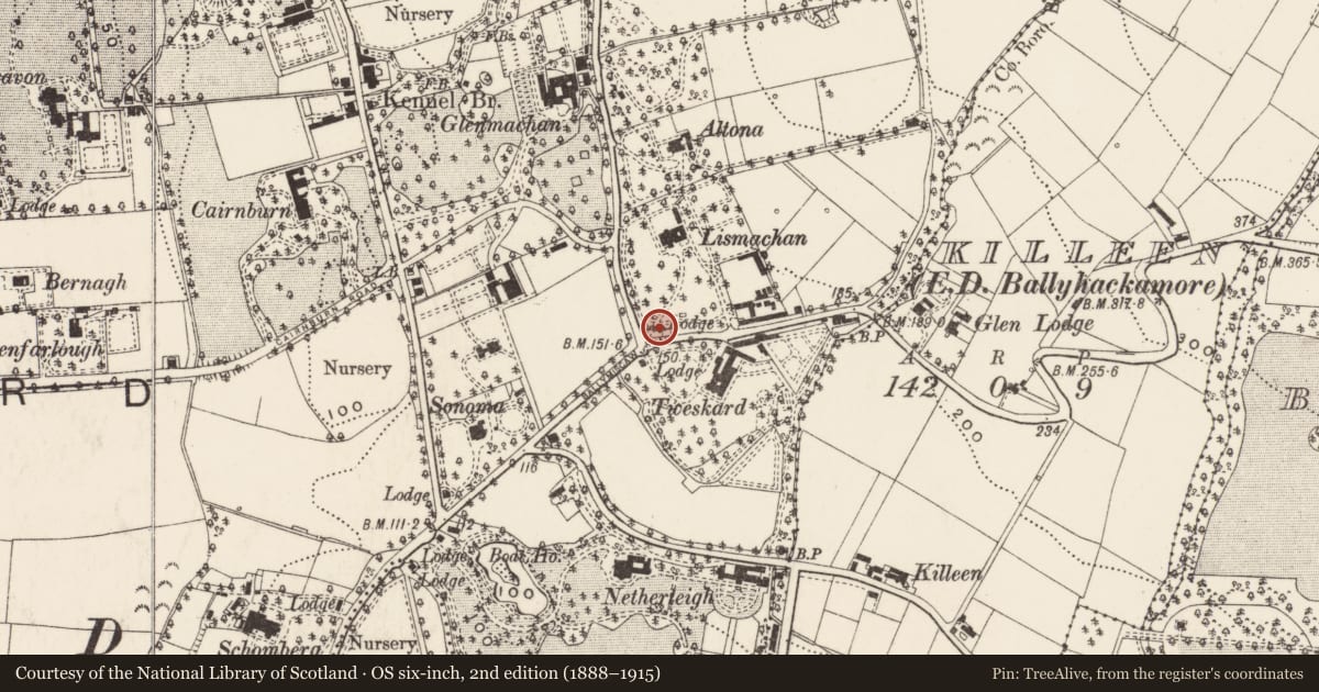 Ordnance Survey six-inch map, 2nd edition (1888–1915) covering the location of Gate Lodge to Lismachan House, Ballymaghan, Belfast, with a pin at the register's coordinates