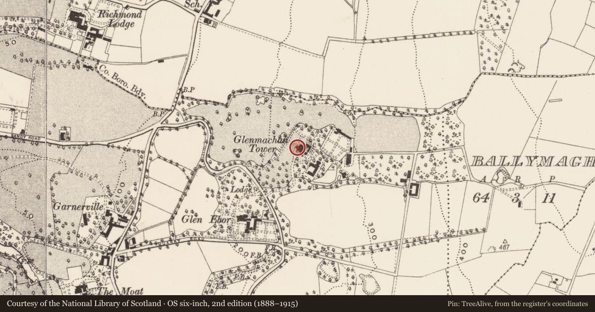 Ordnance Survey six-inch map, 2nd edition (1888–1915) covering the location of Glenmachan Tower House Nursing Home (Former Glenmachan Tower Hotel), Ballymaghan, Belfast, with a pin at the register's coordinates
