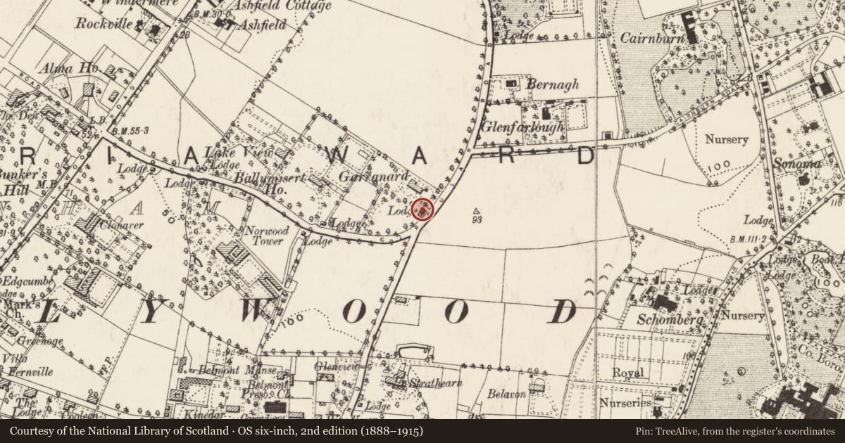 Ordnance Survey six-inch map, 2nd edition (1888–1915) covering the location of Gate Lodge, Garranard, Ballymisert, Belfast, with a pin at the register's coordinates