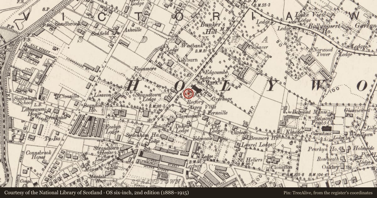 Ordnance Survey six-inch map, 2nd edition (1888–1915) covering the location of 217 Holywood Road, Strandtown, Belfast, with a pin at the register's coordinates