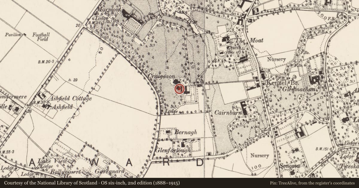 Ordnance Survey six-inch map, 2nd edition (1888–1915) covering the location of Ulster Volunteer Hospital, Ballymisert, Belfast, with a pin at the register's coordinates