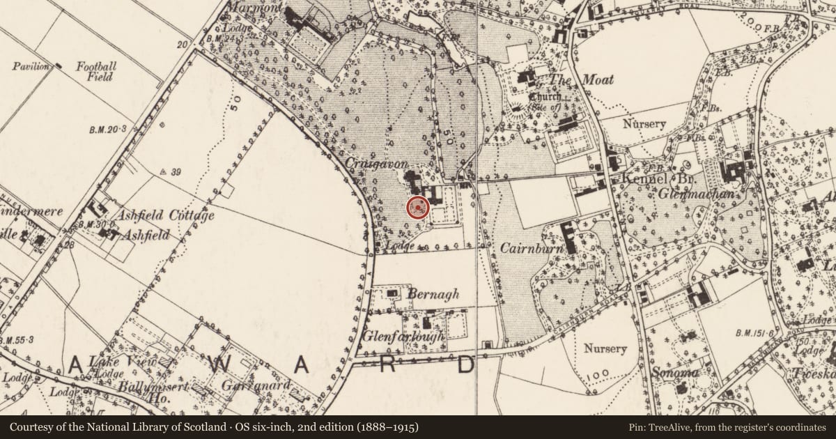Ordnance Survey six-inch map, 2nd edition (1888–1915) covering the location of The Nightingale Wards, The Walled Garden, (Former Somme Hospital), Circular Road, Belfast, Co Antrim BT4 2WG, Ballymisert, Belfast, with a pin at the register's coordinates