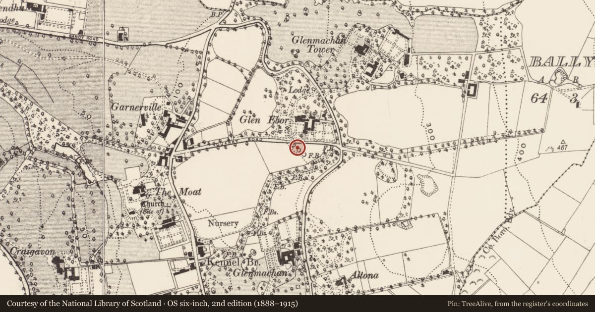 Ordnance Survey six-inch map, 2nd edition (1888–1915) covering the location of Quarry House, Ballymaghan, Belfast, with a pin at the register's coordinates