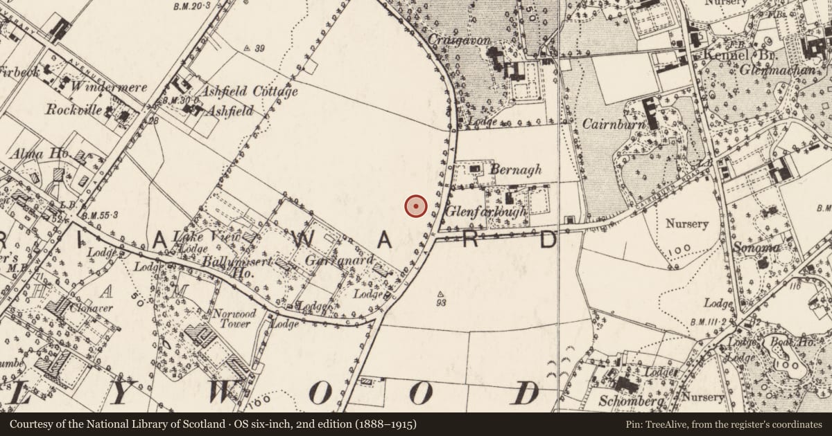 Ordnance Survey six-inch map, 2nd edition (1888–1915) covering the location of Little Lea, Ballymisert, Belfast, with a pin at the register's coordinates