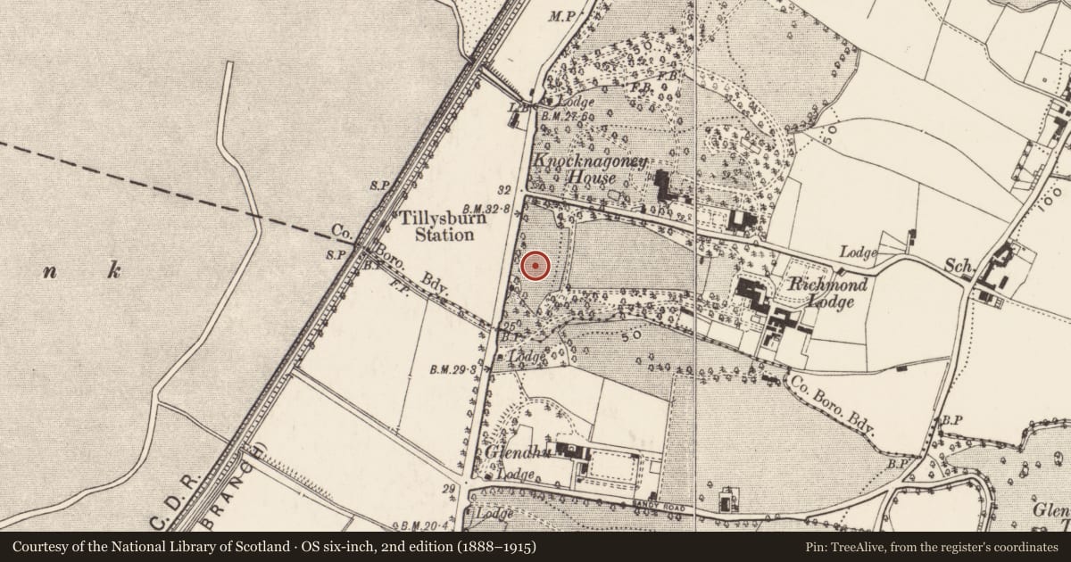 Ordnance Survey six-inch map, 2nd edition (1888–1915) covering the location of Parklands, Knocknagoney, Belfast, with a pin at the register's coordinates