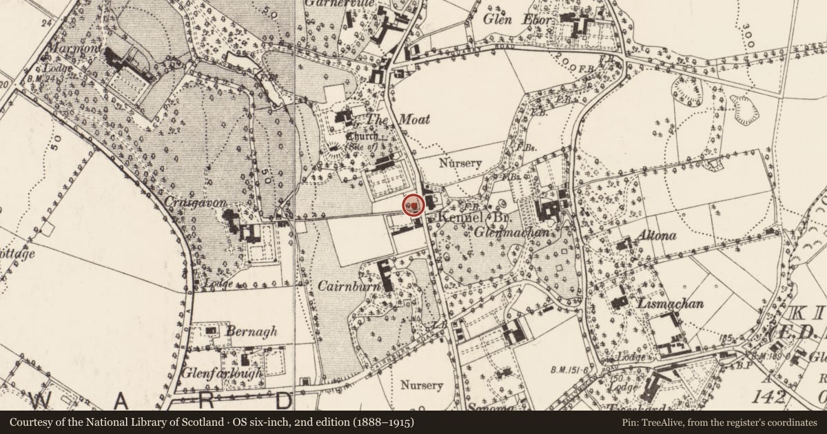 Ordnance Survey six-inch map, 2nd edition (1888–1915) covering the location of 104 Old Holywood Road, Ballymaghan, Belfast, with a pin at the register's coordinates