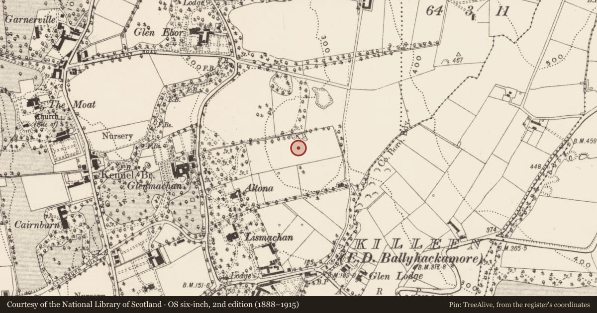 Ordnance Survey six-inch map, 2nd edition (1888–1915) covering the location of 'Glenalmond' 60 Quarry Road, Belfast, Co Antrim BT4 2NQ, Ballymaghan, Belfast, with a pin at the register's coordinates