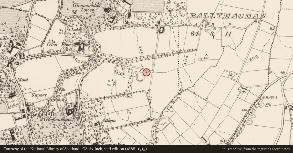 Ordnance Survey six-inch map, 2nd edition (1888–1915) covering the location of Gate Lodge, Glenalmond, 62 Quarry Road, Belfast, Co Antrim BT4 2NQ, Ballymaghan, Belfast, with a pin at the register's coordinates