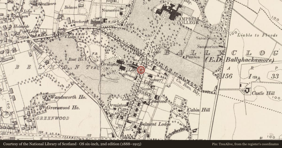Ordnance Survey six-inch map, 2nd edition (1888–1915) covering the location of East gate lodge at Ormiston House, Ballycloghan, Belfast, with a pin at the register's coordinates