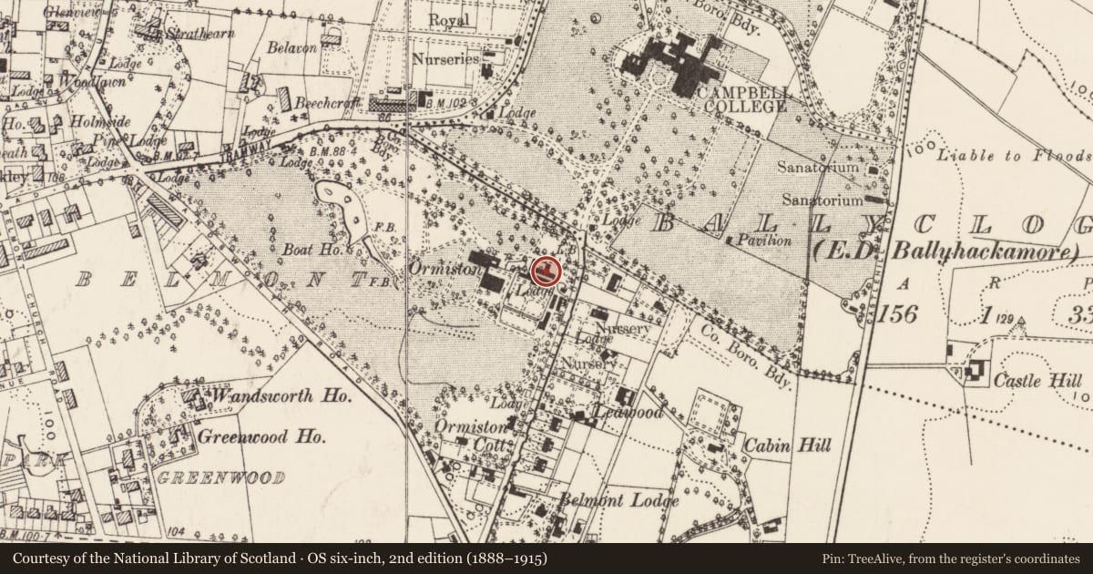 Ordnance Survey six-inch map, 2nd edition (1888–1915) covering the location of Stable block (Ormiston Mews), 50 Hawthornden Road, Belfast, Co Down, BT4 2GH, Belfast, with a pin at the register's coordinates