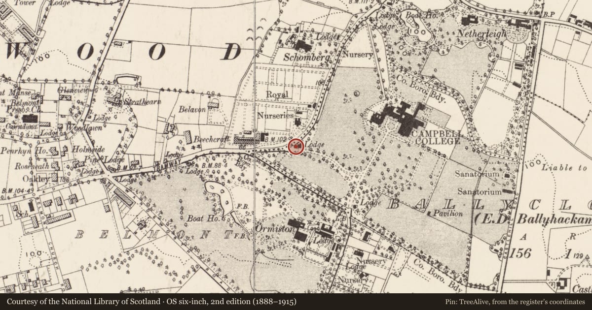 Ordnance Survey six-inch map, 2nd edition (1888–1915) covering the location of Gate Lodge to Campbell College, Ballycloghan, Belfast, with a pin at the register's coordinates