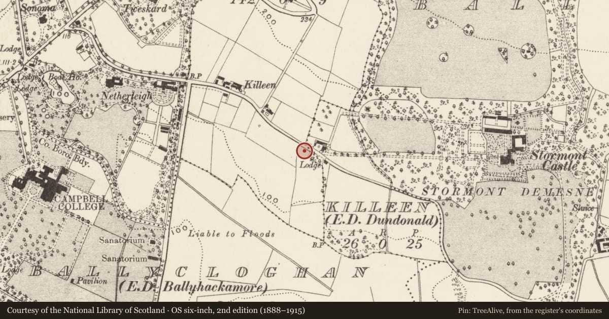 Ordnance Survey six-inch map, 2nd edition (1888–1915) covering the location of 33 Massey Avenue, Kileen, Belfast, with a pin at the register's coordinates
