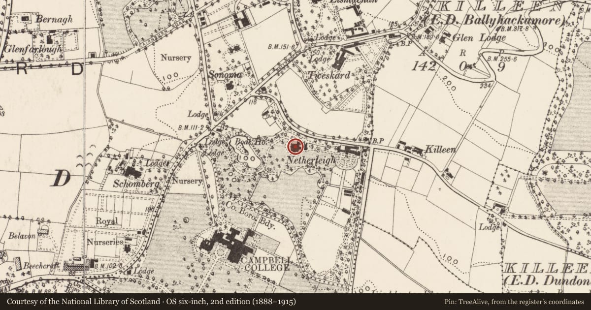 Ordnance Survey six-inch map, 2nd edition (1888–1915) covering the location of Netherleigh House, Ballymaghan, Belfast, with a pin at the register's coordinates