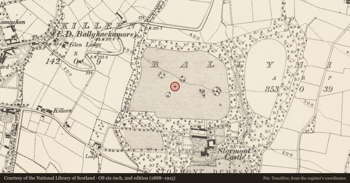 Ordnance Survey six-inch map, 2nd edition (1888–1915) covering the location of Parliament Buildings, Ballymiscaw, Belfast, with a pin at the register's coordinates
