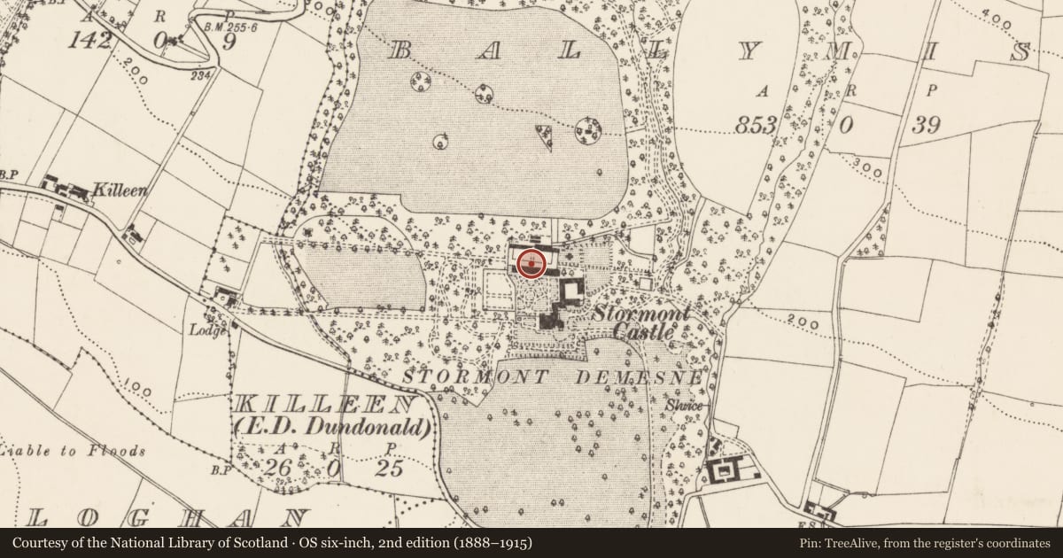 Ordnance Survey six-inch map, 2nd edition (1888–1915) covering the location of CONSERVATORY, Ballymiscaw, Belfast, with a pin at the register's coordinates