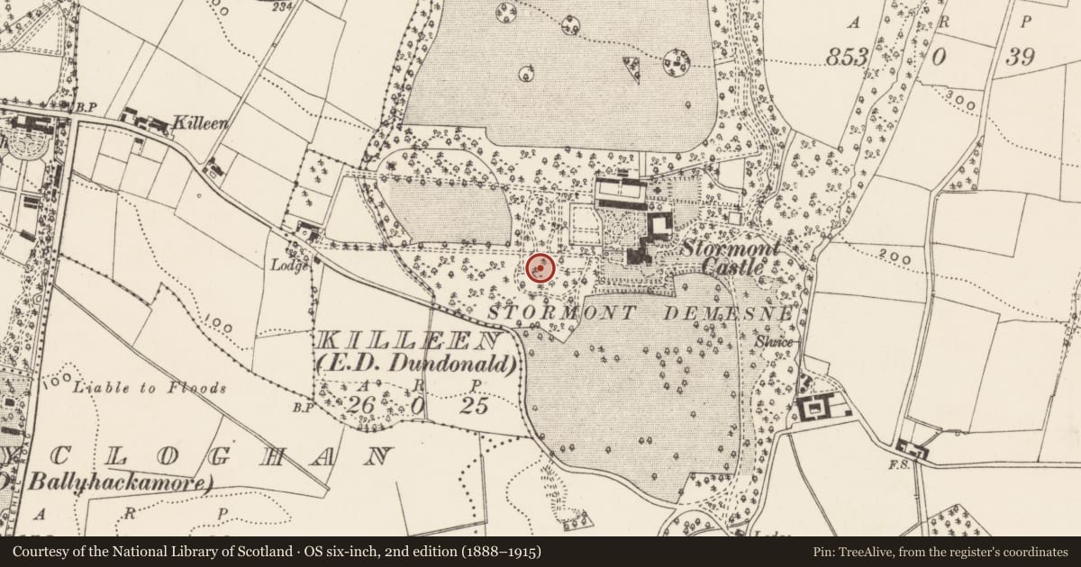 Ordnance Survey six-inch map, 2nd edition (1888–1915) covering the location of Stormont House, Ballymiscaw, Belfast, with a pin at the register's coordinates