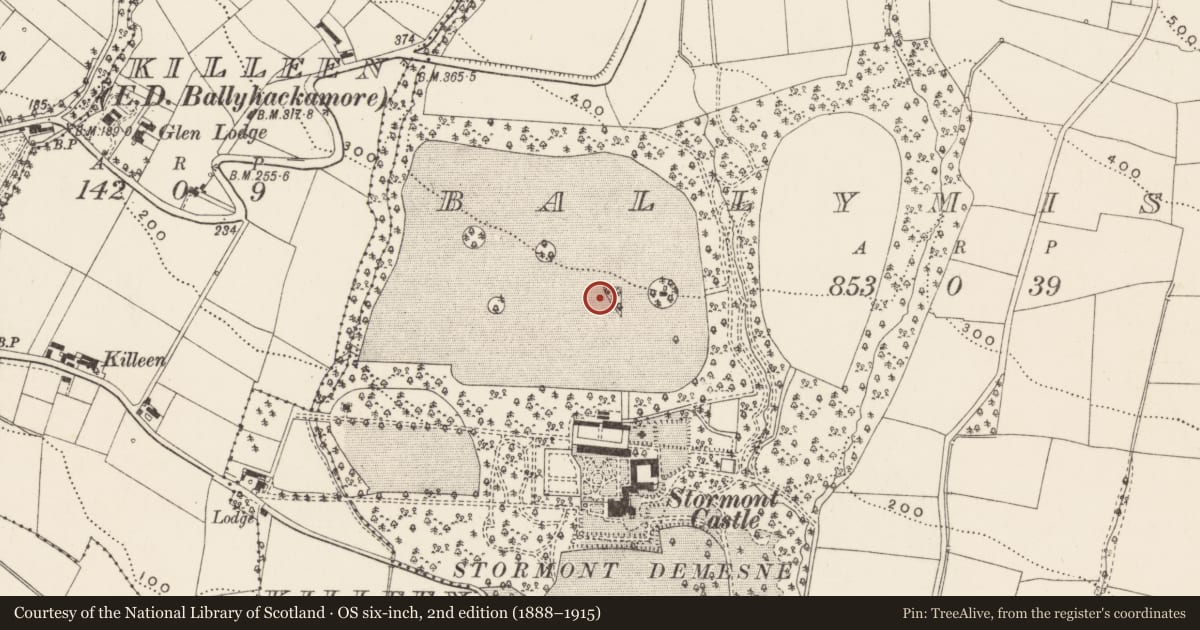 Ordnance Survey six-inch map, 2nd edition (1888–1915) covering the location of Viscount Craigavon's Tomb, Ballymiscaw, Belfast, with a pin at the register's coordinates